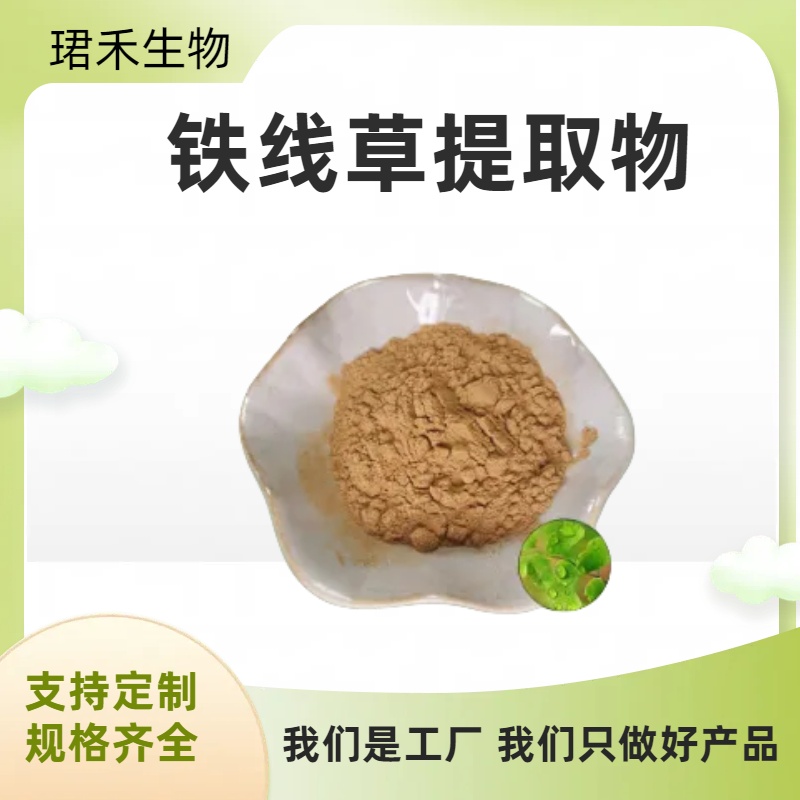 铁线草提取物10:1 铁线蕨浓缩粉 拐子草浸膏 80-100目