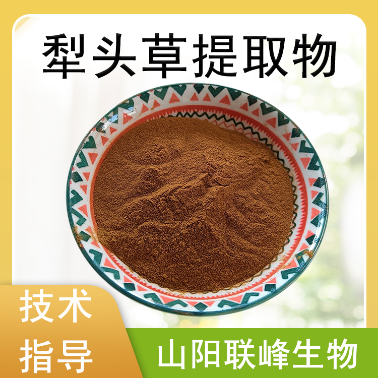犁头草提取物 10：1水溶浓缩粉 犁头草粉 食品原料 1公斤起订