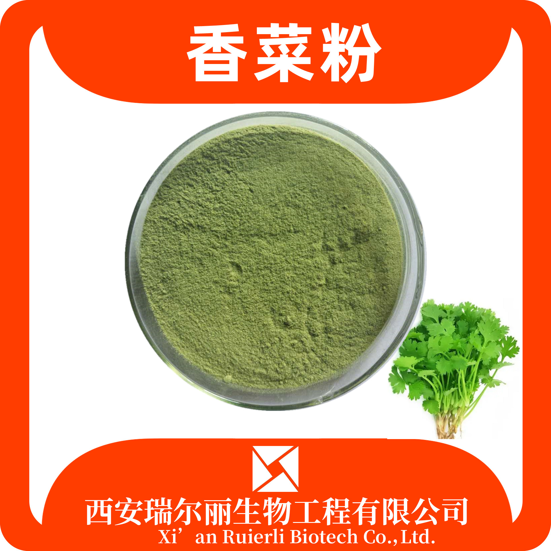 香菜粉99% 香菜提取物 香菜浸膏 果蔬粉 现货速发