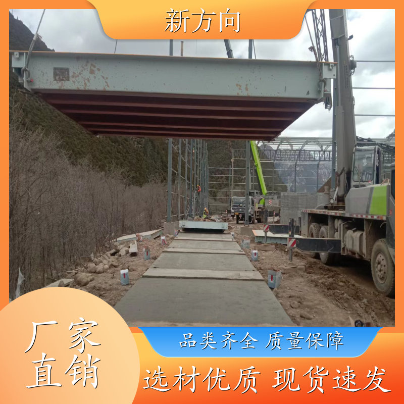 新方向 电子汽车衡 经久耐用 敏捷性高 全国供应