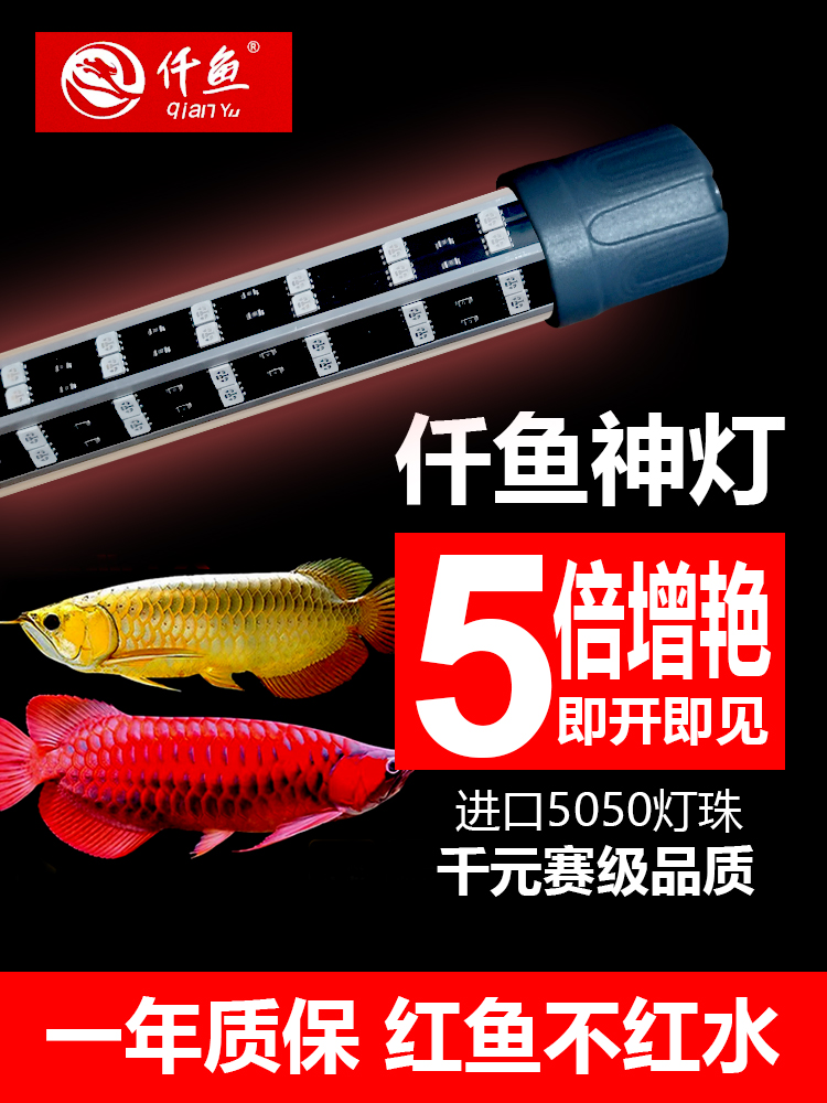仟鱼神灯增艳马增色金龙红龙鱼专用灯鱼缸灯水族防水印潜水led灯