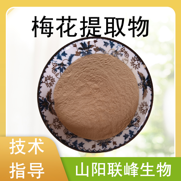 梅花提取物10:1 速溶梅花粉 食品原料 速溶浓缩 喷雾干燥