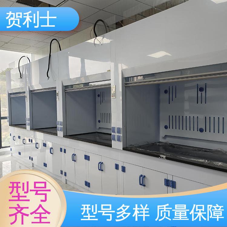 贺利士 耐酸碱 检测专用通风柜 结构牢固可靠 服务优先 客户至上