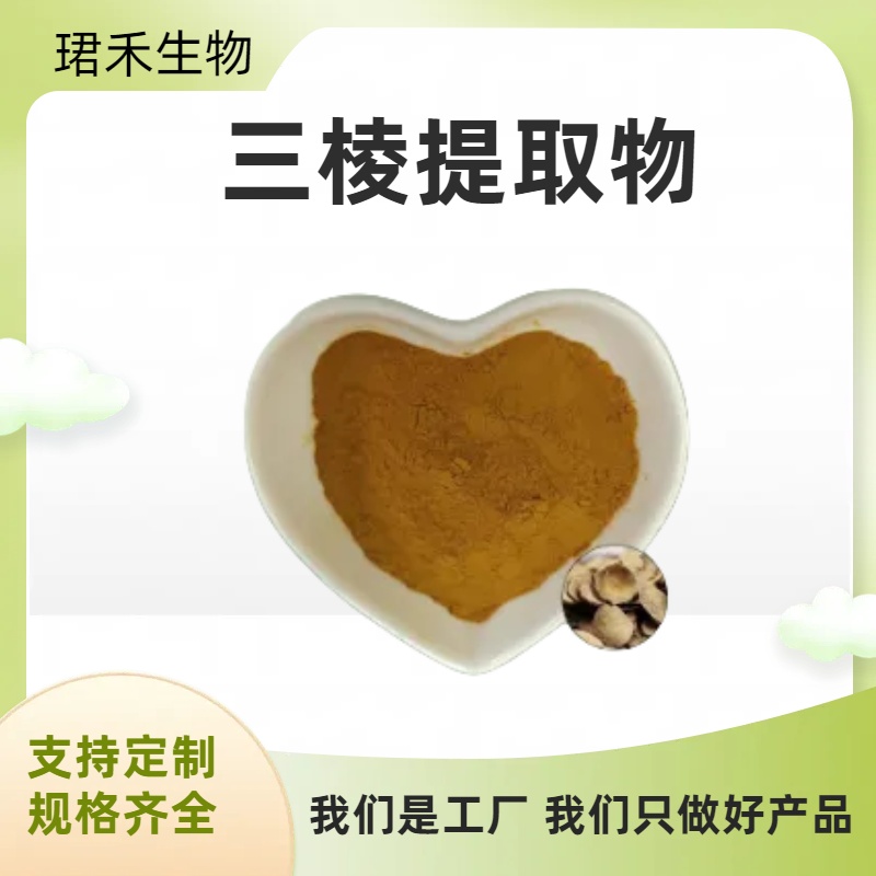 三棱提取物 水溶三棱浓缩粉 浸膏 食品原料 溶解性好 可定制