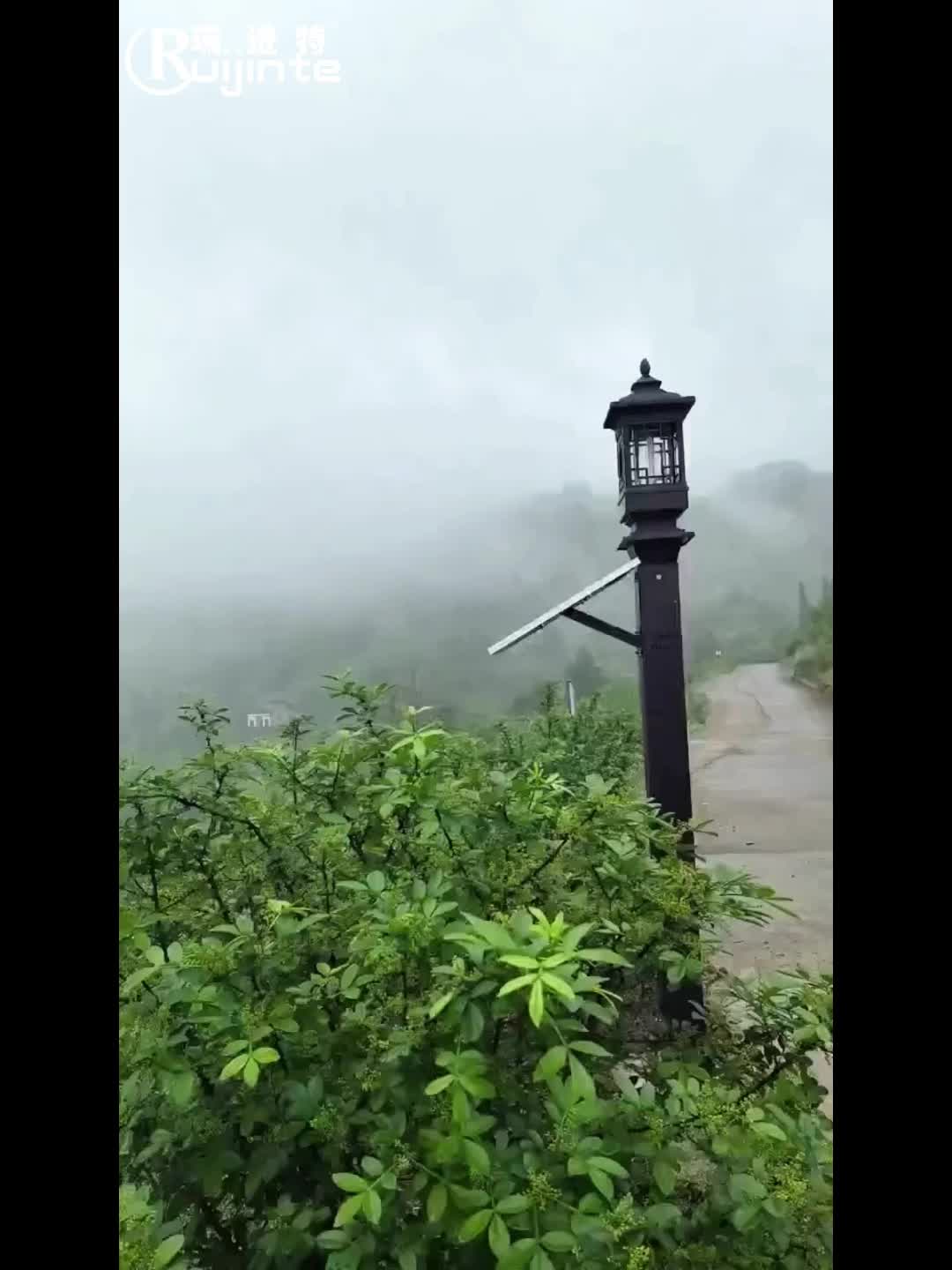 视频