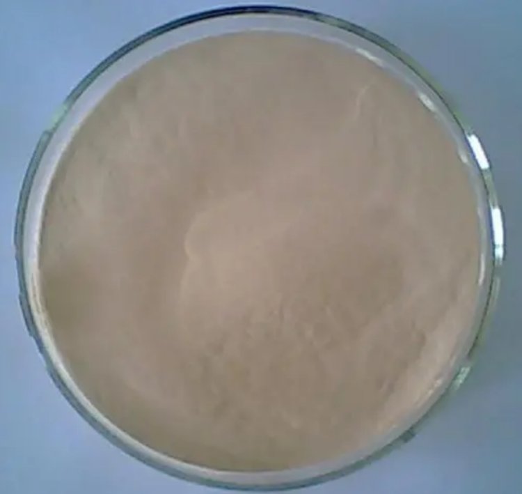 用作脱硫的催化剂 CAS号：598-62-9 碳酸锰生产厂家