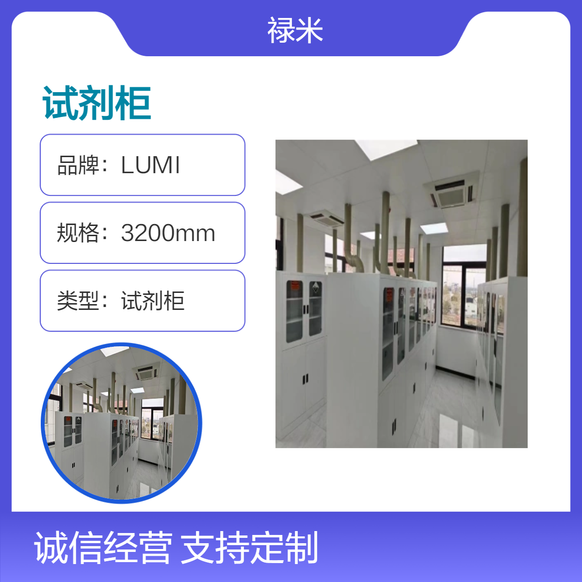 LUMI 性能稳定全钢结构试剂柜 简约现代多功能