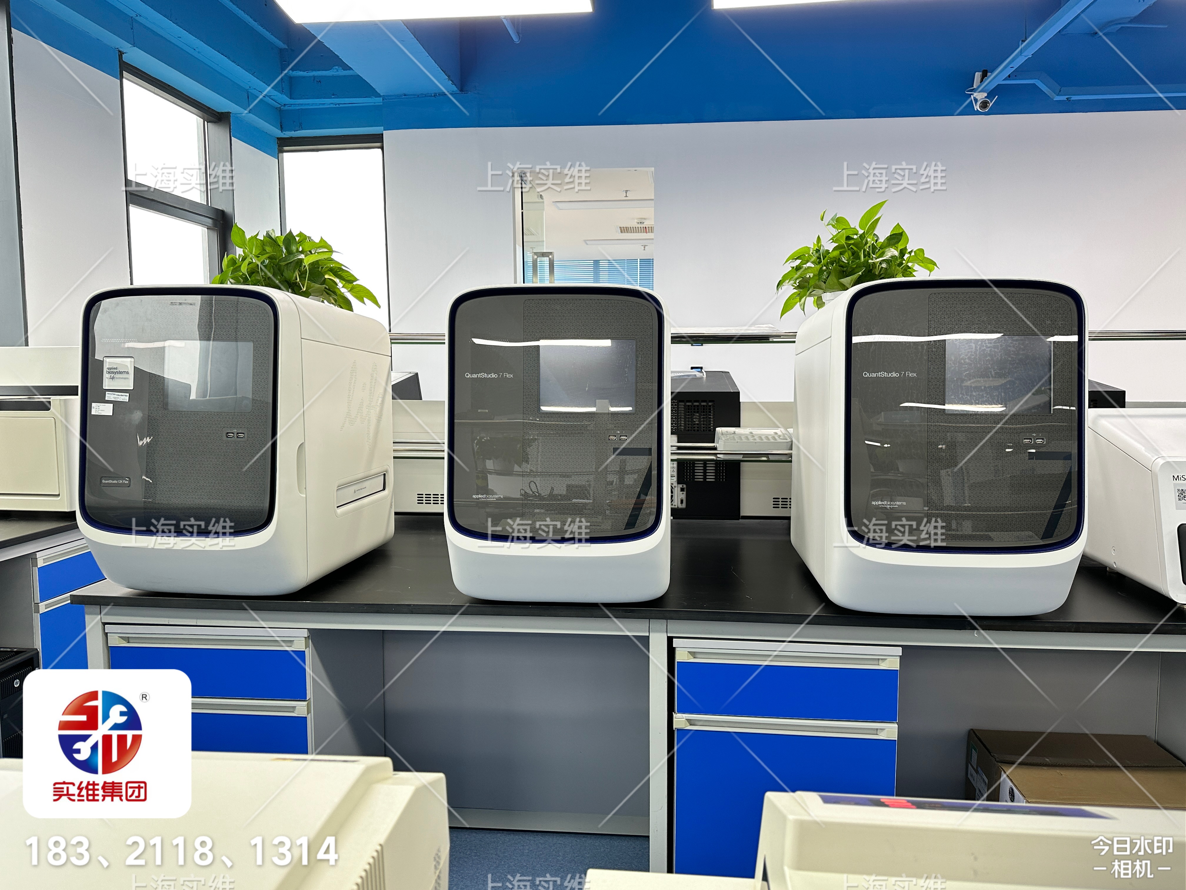 提供短期租赁服务QuantStudio 12K Flex 实时荧光定量PCR