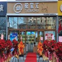 驼宝汇驼奶