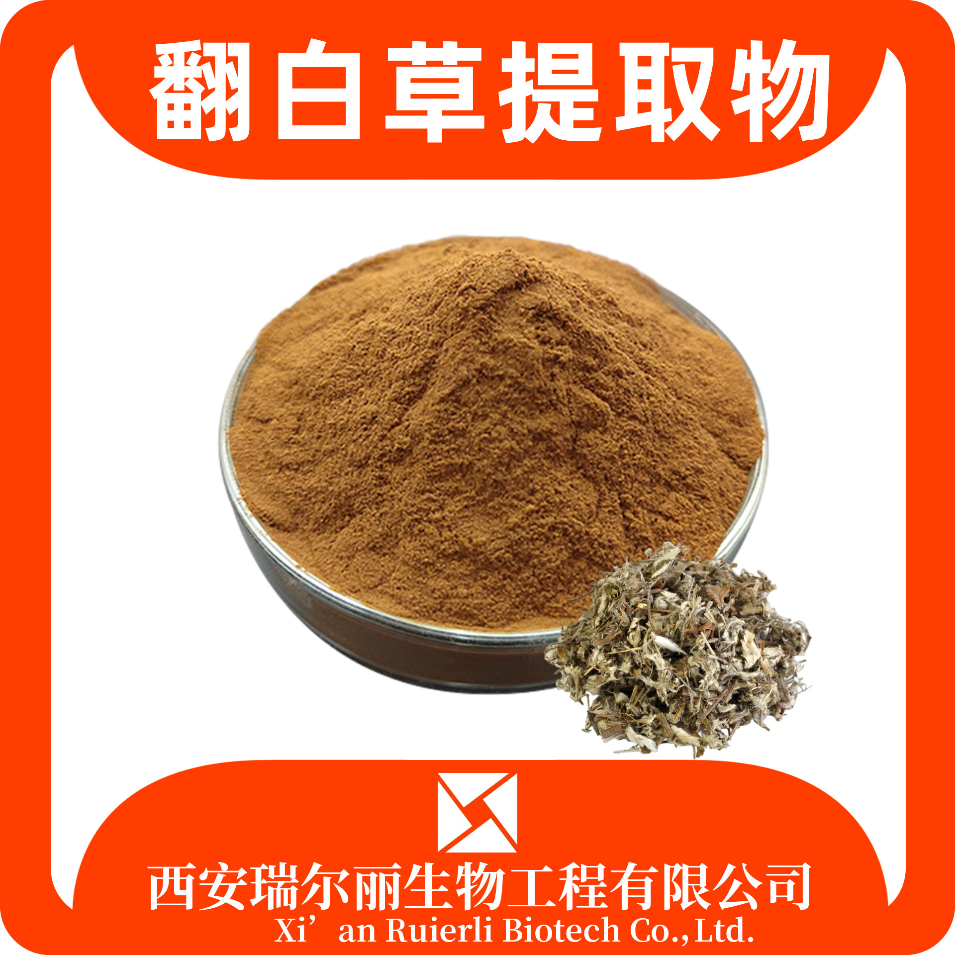 翻白草提取物10：1 速溶浓缩 翻白草粉 可定制 瑞尔丽生物 现货速发