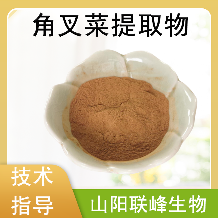 角叉菜提取物 10:1 多比例规格 水溶 鹿角菜浓缩粉 联峰生物 SC定制工厂