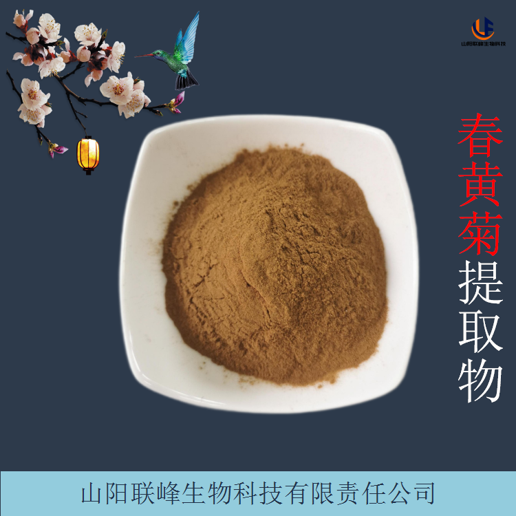 春黄菊提取物 植物萃取水溶浓缩粉 浸膏 化妆品原料