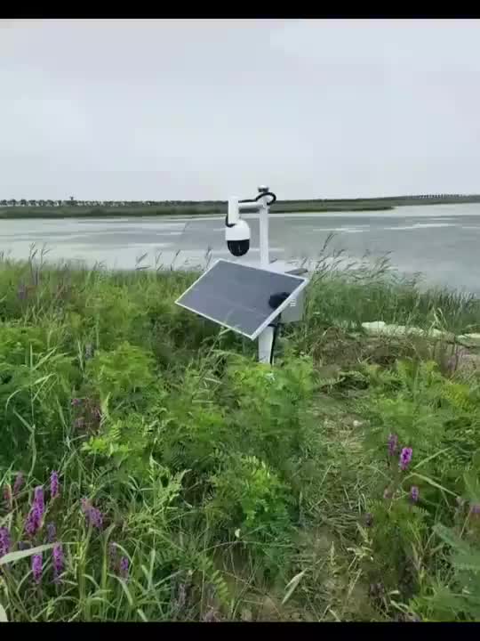 视频