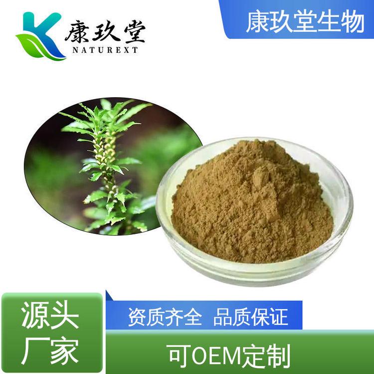 资质齐全 千层塔植物提取物 1%石杉碱甲 棕色粉末 康玖堂