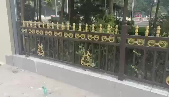 视频