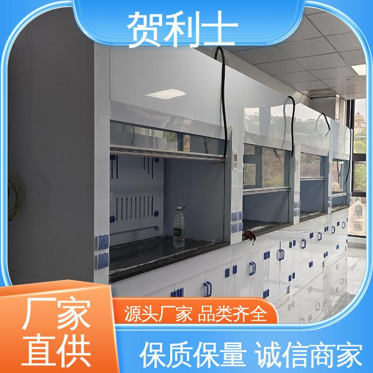 硬度强 保质保量 精致打造 防尘防静电 排风柜 贺利士