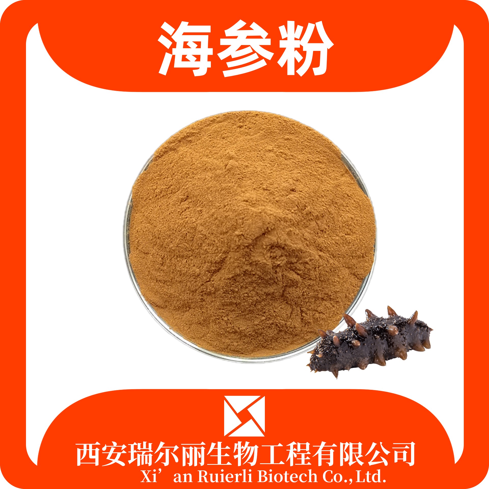 海参提取物 海参粉 浓缩粉 规格可定制 食品原料 瑞尔丽生物