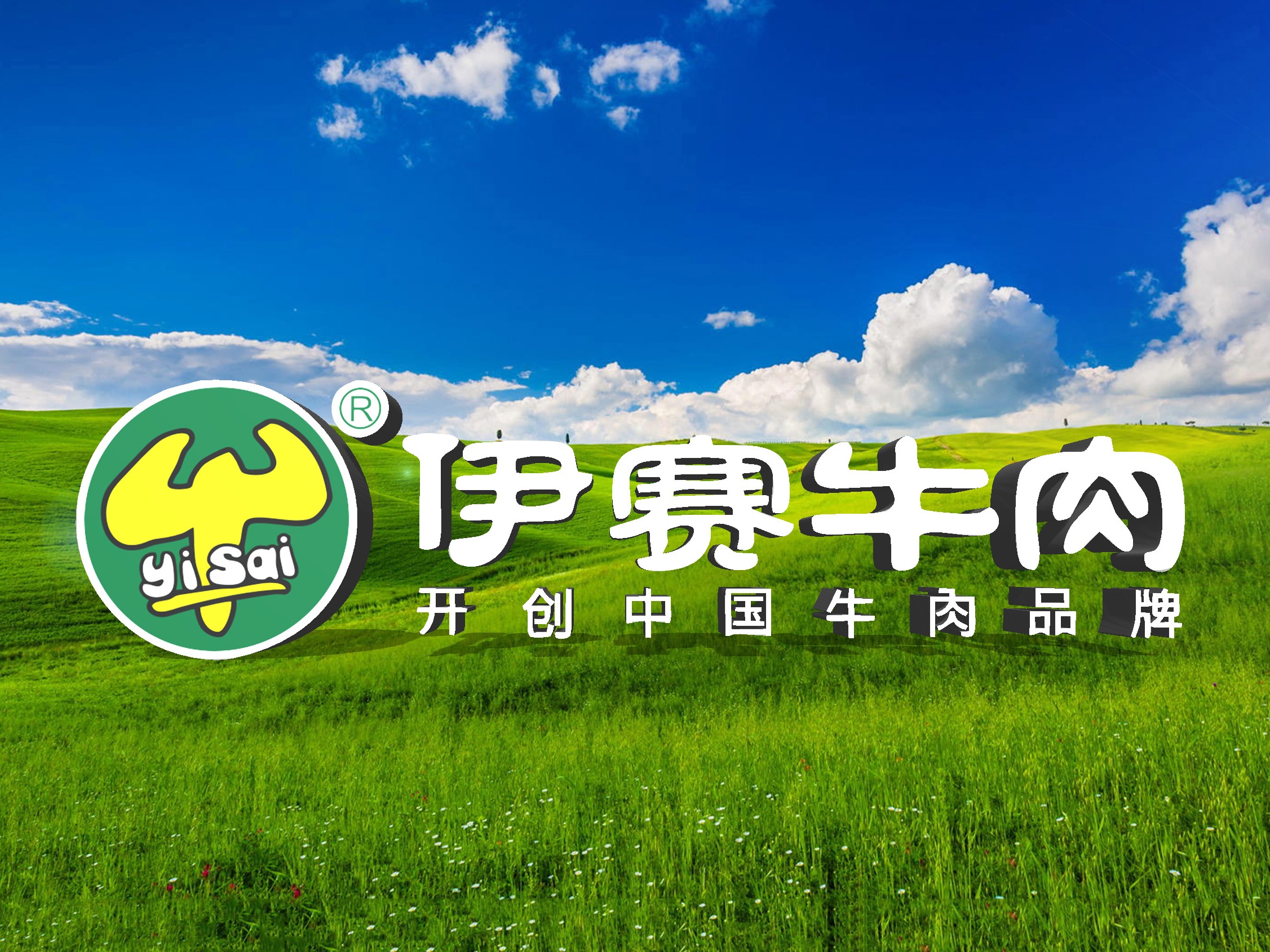 伊赛牛肉