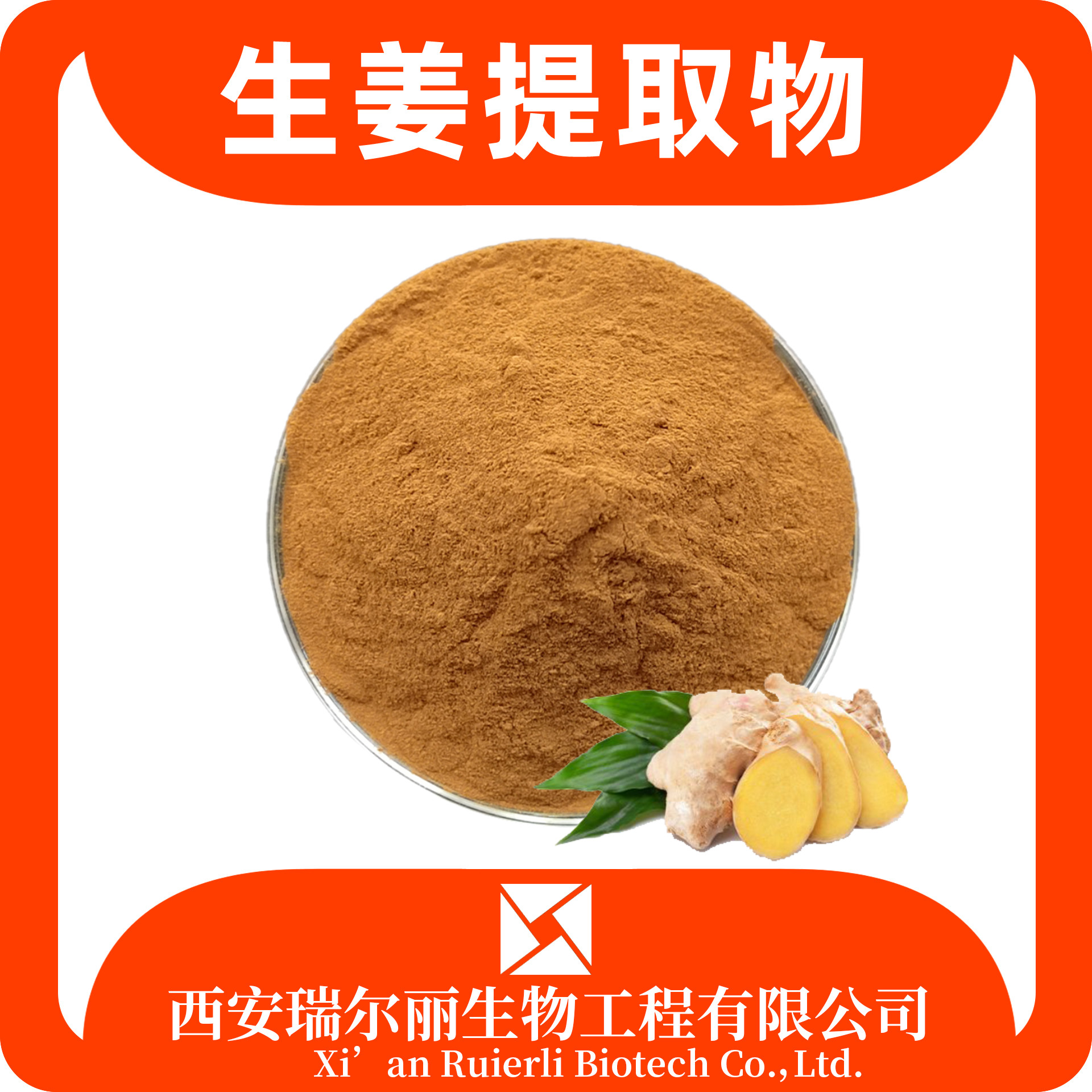 生姜提取物10：1生姜粉 速溶生姜浸膏 食品生鲜 瑞尔丽生物 源头厂家