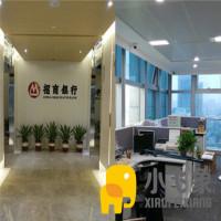 小飞象玻璃膜