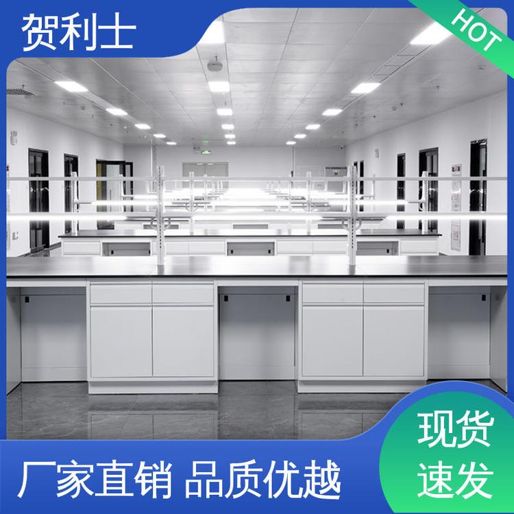 贺利士 科研院校制药 耐酸碱 坚实耐用 匠心打造 全钢实验家具