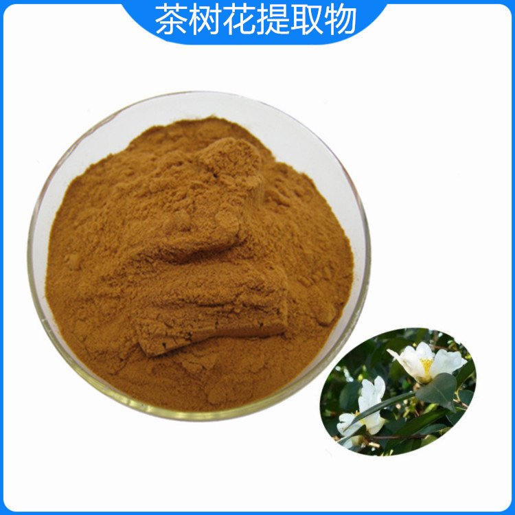 斯诺特 茶树花提取物 20:1 比例规格 另有浸膏供应