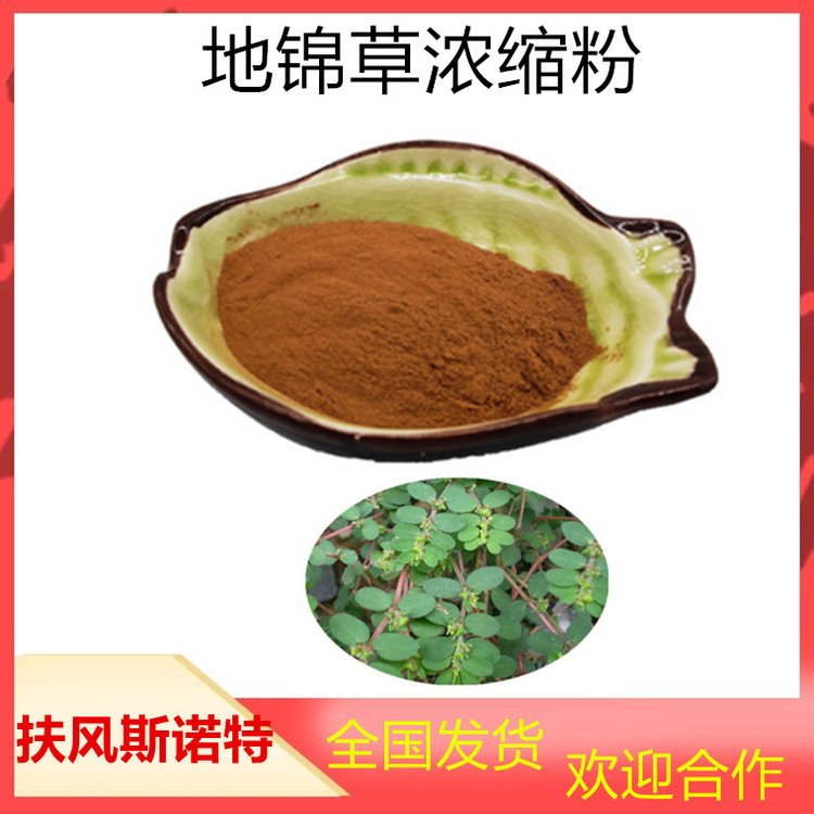 地锦草浓缩粉 棕色粉状 无肉眼看见杂质 源头厂家 斯诺特生物