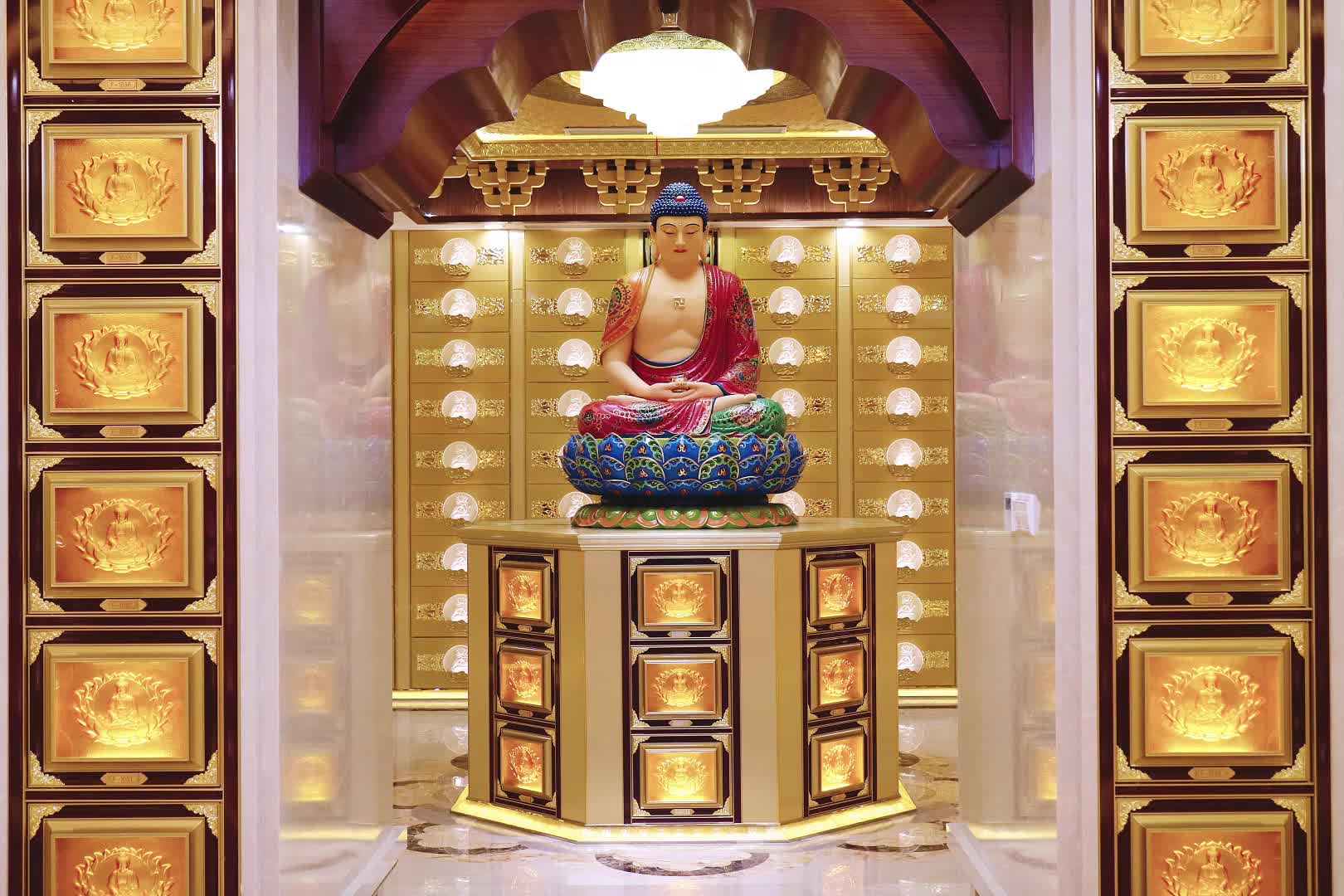 视频
