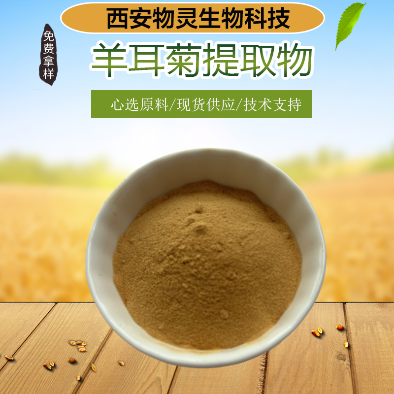 羊耳菊提取物 多倍浓缩 水提 显脉羊耳菊粉 质量稳定 物灵生物 植提厂家