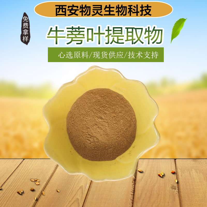 牛蒡叶提取物 10:1疙瘩菜比例浓缩粉 1kg起批 多种规格
