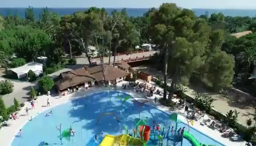 视频