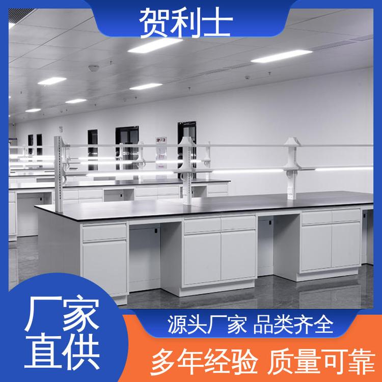 贺利士 检测机构专用 品种多样 长期供应 不易损坏 全钢实验家具