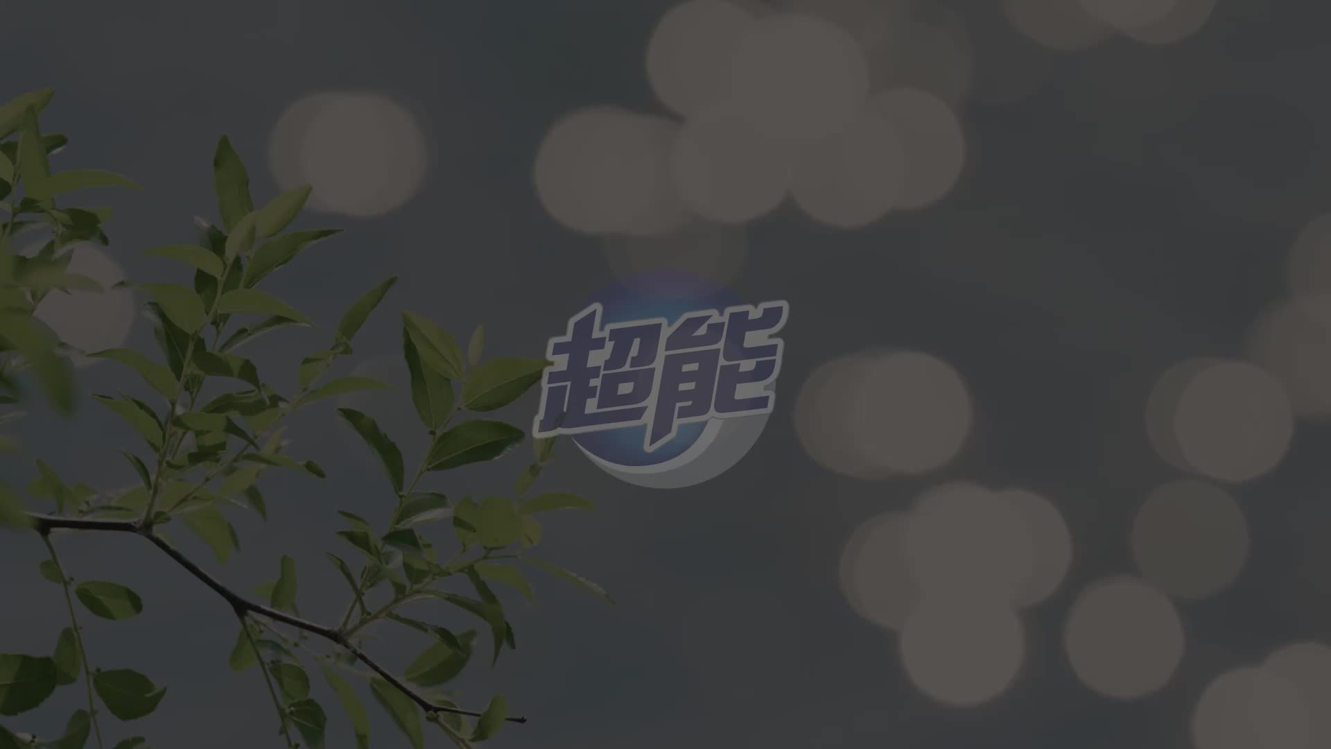 视频