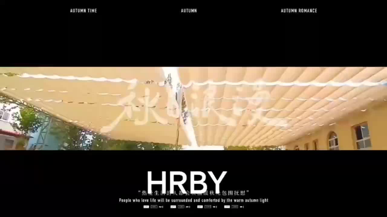 视频