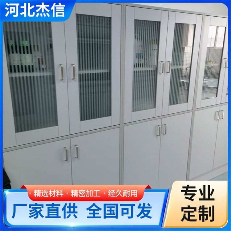 设计全钢试剂柜 柜台陈列柜 化学危化品柜 规格齐全 支持验厂