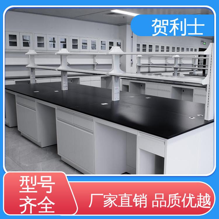 耐酸碱 全钢实验室台 品种多样 长期供应 科研院校制药 贺利士