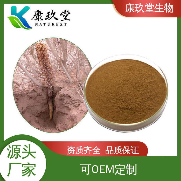 康玖堂 棕红色粉末 肉苁蓉植物提取物 资质齐全 Cistanche Extract