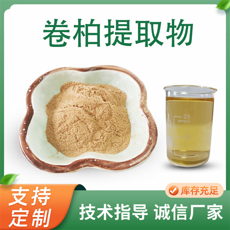 卷柏提取物 还魂草浓缩粉 水溶卷柏粉 多规格可定制 质量稳定