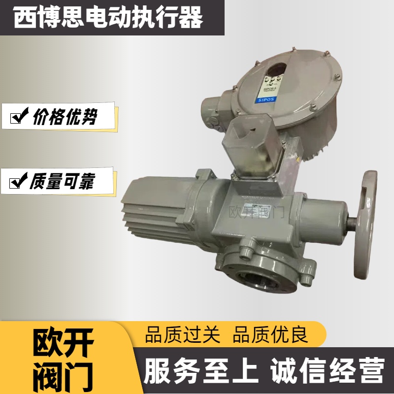 西博思电动执行器2SA5031-5EE00-4AB3-Y0KP+GS125.3+EXD10正品