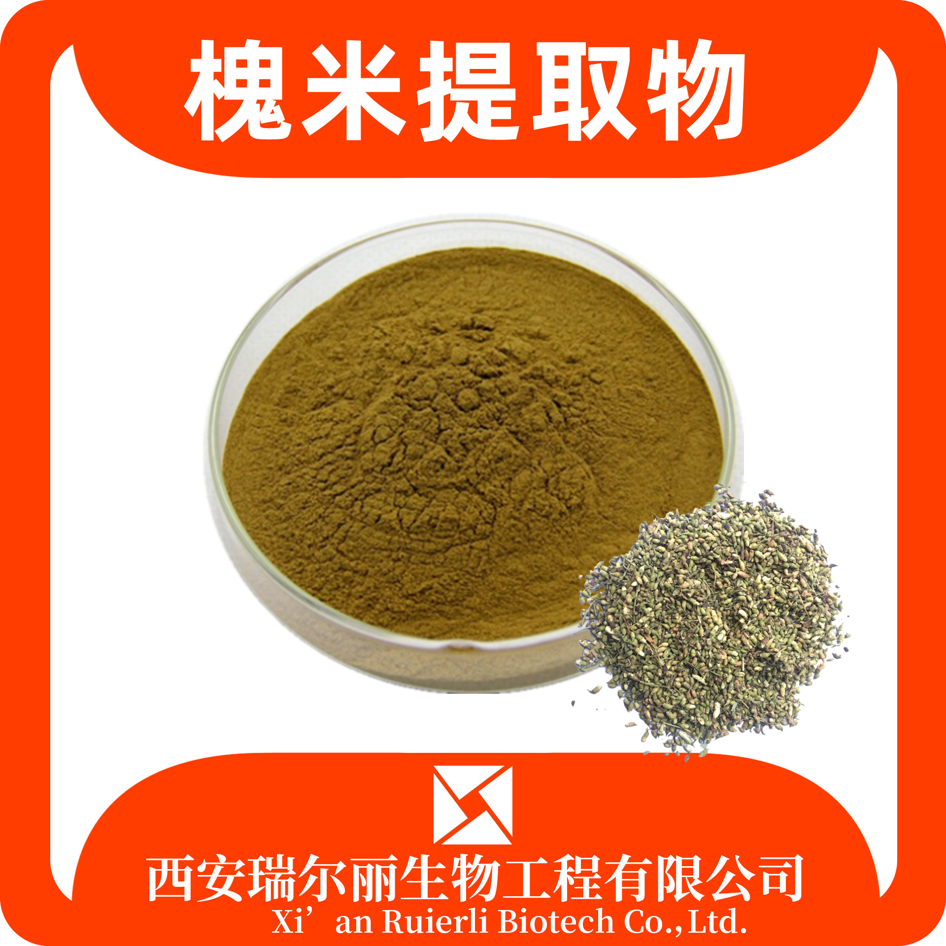 槐米提取物 水溶槐米粉 SC证 芦丁 槲皮素 药食同源 瑞尔丽生物 源头厂家