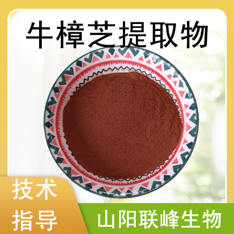 牛樟芝提取物 牛樟芝浓缩粉 SC 厂家 多糖 喷雾干燥