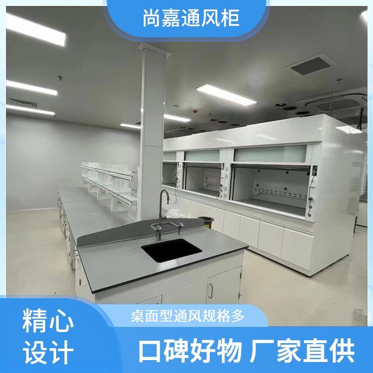 封闭式 通风柜排风柜 可配水槽可定制 支持定制 尚嘉