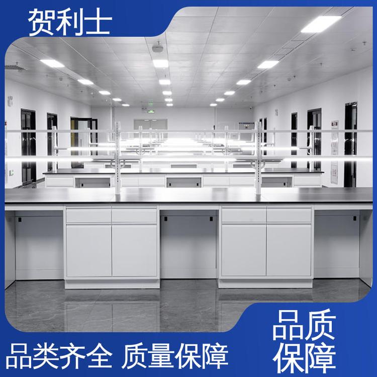 贺利士 耐酸碱 保质保量 精致打造 一站式工程 全钢实验家具