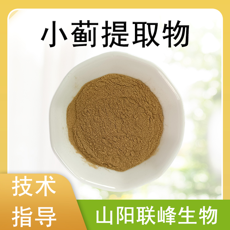 小蓟提取物 10:1水溶浓缩浸膏粉 植物萃取 小蓟粉 食品原料 喷雾干燥