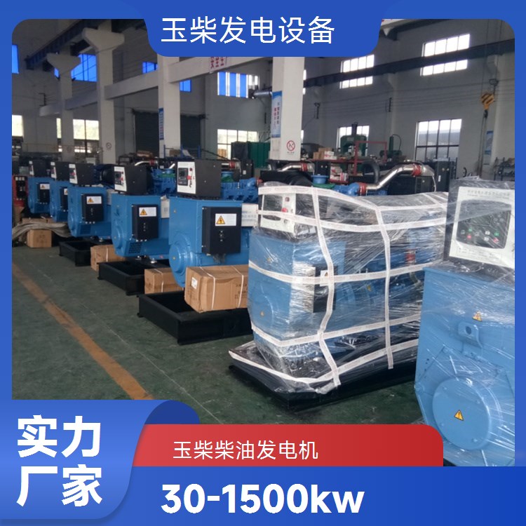 玉柴操作简单方便 250KW柴油发电机 商场医院应急备用