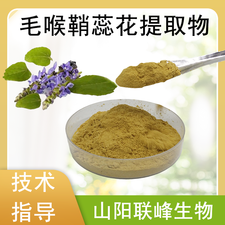 毛喉鞘蕊花提取物 10:1 水溶浓缩粉 含黄酮 联峰生物 喷雾干燥原料 小样