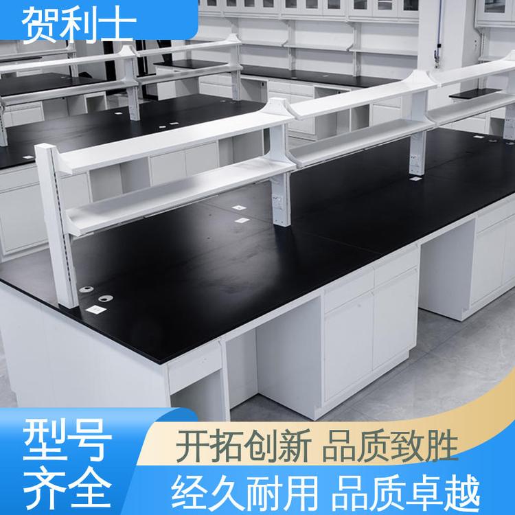 全钢实验室台 经久耐用 品质卓越 科研院校制药 不易损坏 贺利士