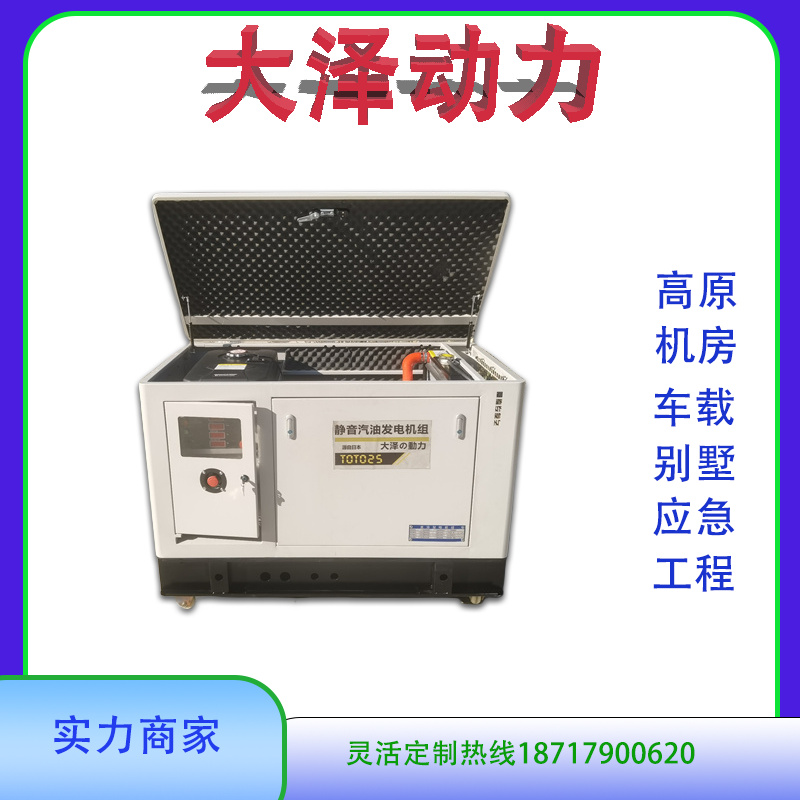 大泽动力60KW汽油发电机组 医院 实验室电源 电压稳定 TOTO60-Z