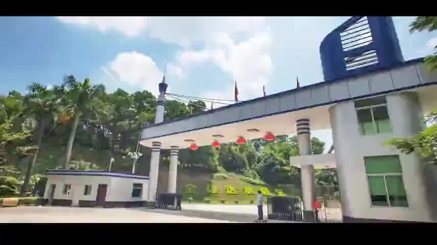 视频