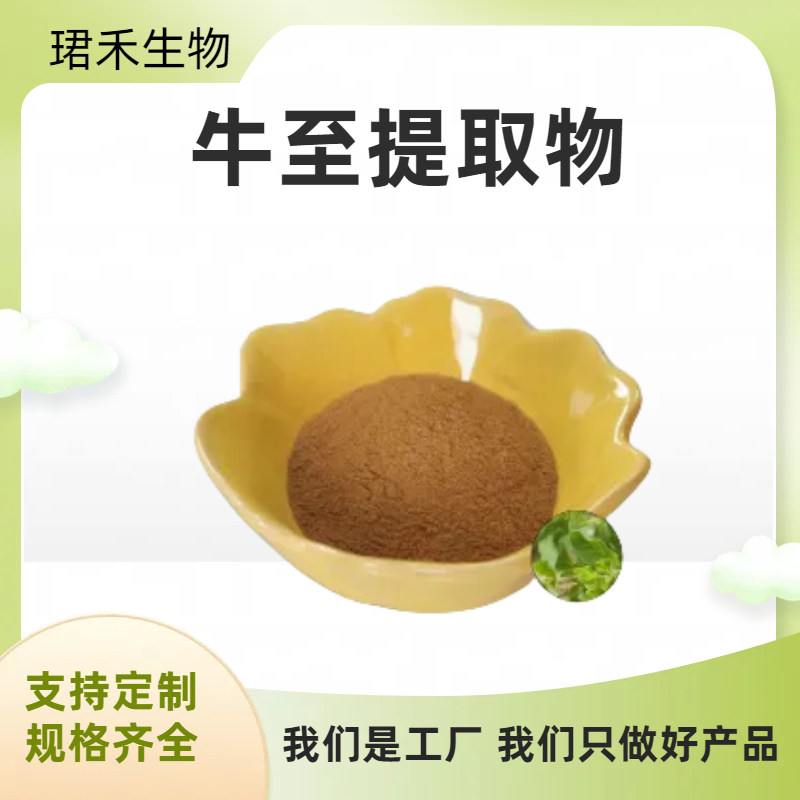 牛至提取物 食品固体饮料原料 喷雾干燥 多规格可定制 可开发票